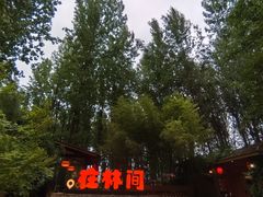 -林间山庄