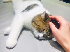 -小时光咖啡馆(开森度假森林店)