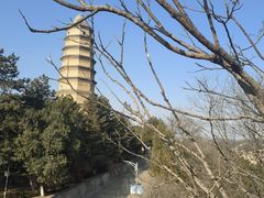 -延安宝塔山旅游景区-游客服务中心