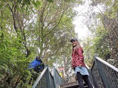 -梦幻奥陶纪景区