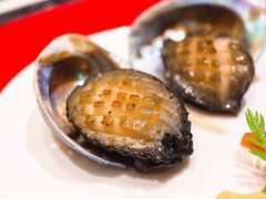 铁板十头鲜鲍-曙亚洲餐厅-重庆富力艾美酒店(南坪万达广场店)