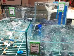 -老阿爸鲜鱼土菜(园区永旺店)