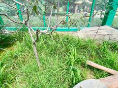 -北戴河集发农业梦想王国