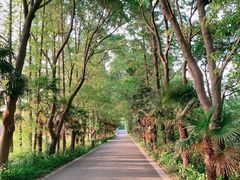 -同里国家湿地公园