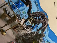 -陕西自然博物馆