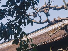 -豫园