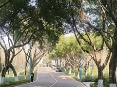 -西南政法大学(渝北校区)