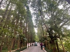 -同里国家湿地公园