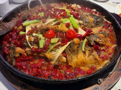 -老板恋上鱼(高新万达店)