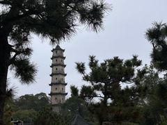 -江心屿景区