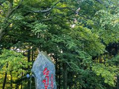 -庐山风景区花径公园