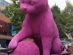 -西安电影制片厂