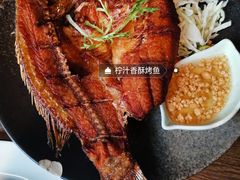 -青叶202都市餐厅(迪诺水镇店)