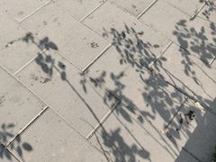 -丰台花园
