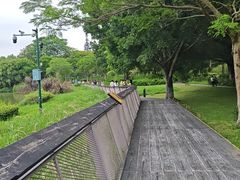 -海珠湖公园