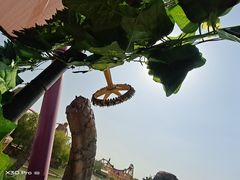-北京欢乐谷