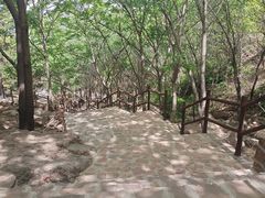 -山叶口景区