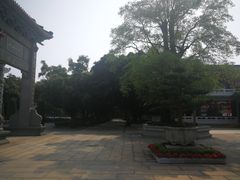-广东圆玄道观