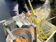 -三圣花乡旅游区