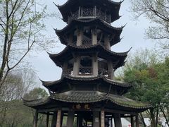 -西溪国家湿地公园