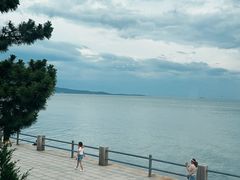 -海草馆自助餐厅(悦海店)