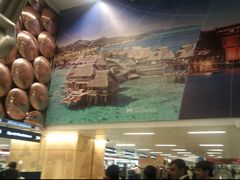 -英迪拉·甘地国际机场