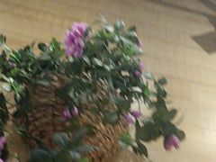 -云尊府云南菜·蒸汽石锅鱼(学清路店)