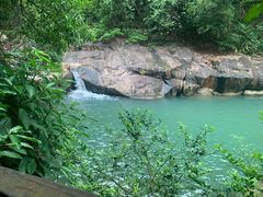 -广州白江湖森林公园