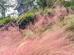 -虞山城墙