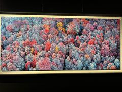 -罗红摄影艺术馆