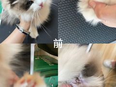 -听TA说宠咖·宠物生活馆(天韵水岸店)