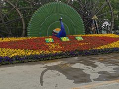 -呀路古热带植物园