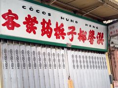 -洪馨椰子