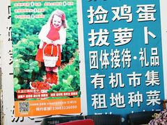 -大自然农场蔬菜草莓采摘园