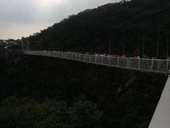-牛鱼嘴原始生态风景区