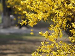 -辽宁大学(崇山校区)