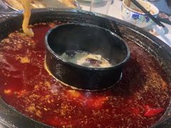 -卤校长老火锅(绿地468店)