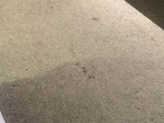 -金紫薇酒店(成都春熙路步行街店)