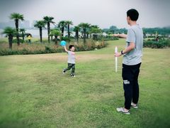 -九里湖国家湿地公园