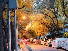 -婕妮璐超市 Jenny Lou’s Shop(三里屯店)