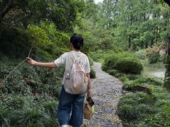 -上海醉白池公园
