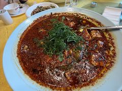 -胖大姐黄辣丁鱼庄(新津店)