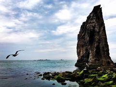 -海驴岛(荣成市)
