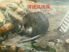 -南昌动物园