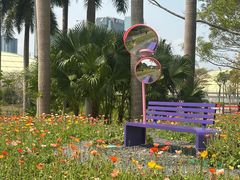 -云溪植物园