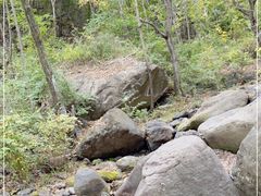 -云岫谷游猎自然风景区