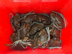 -老财炒饭·熟地蟹·冬瓜蟹