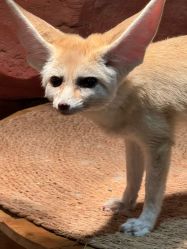 -Zoolung Zoolung动物主题公园(海信广场店)