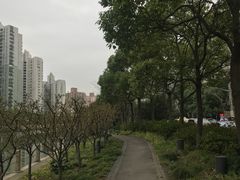 -苏州河梦清园环保主题公园