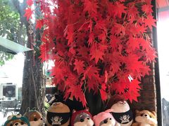 -柴犬高等学院·狗咖·柴犬售卖·宠物训练